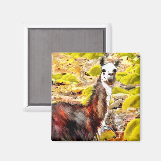 Llama in het Andesgebergte Peru Magneet (Voorkant / Achterkant)