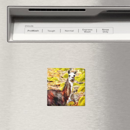 Llama in het Andesgebergte Peru Magneet (Insitu (Vaatwasser))