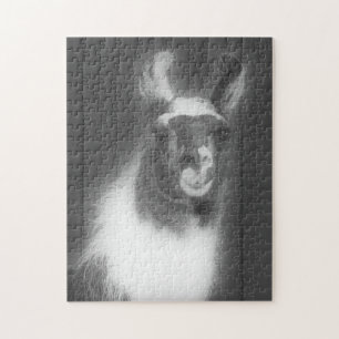 Llama in het zwarte en het witte dier legpuzzel