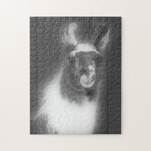 Llama in het zwarte en het witte dier legpuzzel (Verticaal)