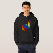 Llama Inca Wipala Native Cultuur Ontwerp Hoodie (Voorkant volledig)