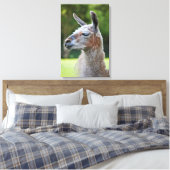 Llama Ingepakt Canvas Print (Insitu (Slaapkamer))