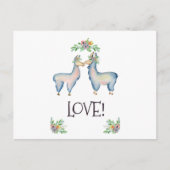 Llama is verliefd briefkaart (Voorkant)
