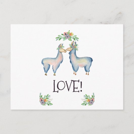 Llama is verliefd briefkaart (Voorkant)
