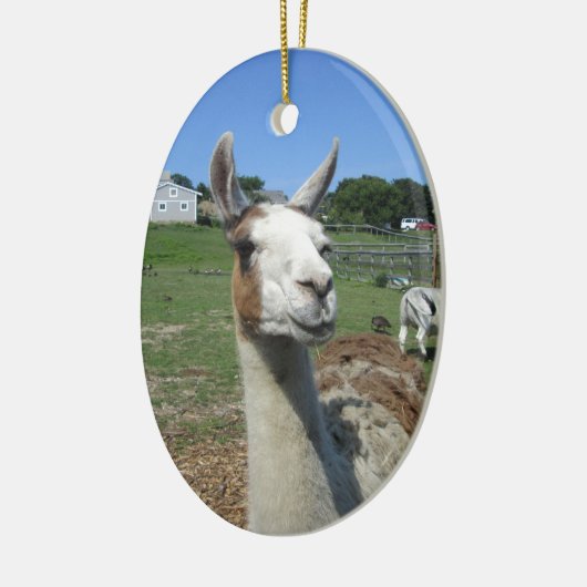 Llama Keramisch Ornament (Links)