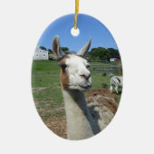 Llama Keramisch Ornament (Voorkant)