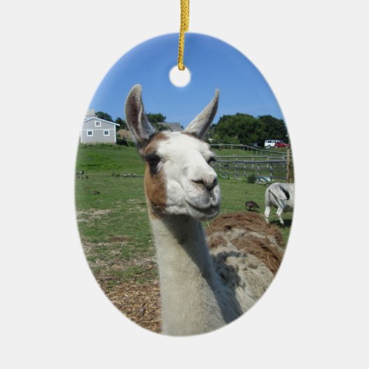 Llama Keramisch Ornament (Voorkant)