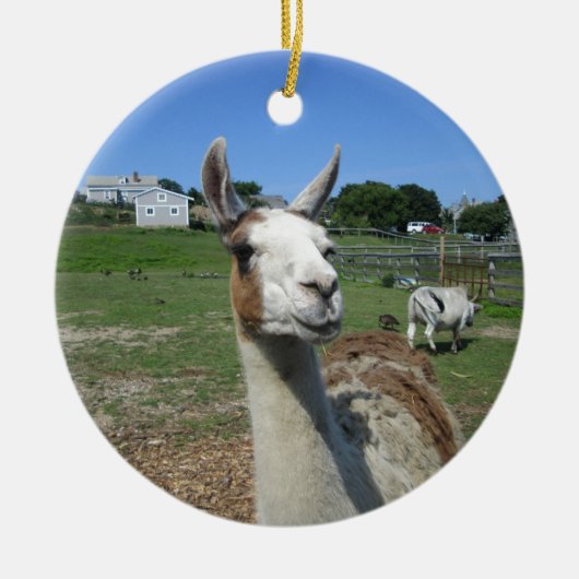 Llama Keramisch Ornament (Voorkant)