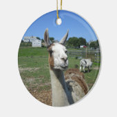 Llama Keramisch Ornament (Links)