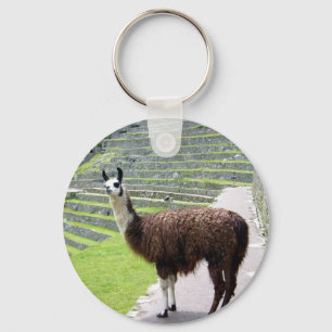 llama kijkt sleutelhanger