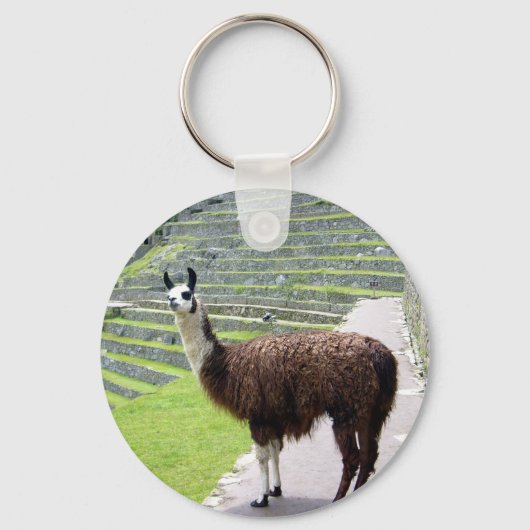 llama kijkt sleutelhanger (Voorkant)