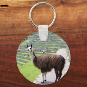 llama kijkt sleutelhanger (Voorkant)