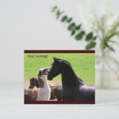 Llama kiss Briefkaarten (Staand voorkant)