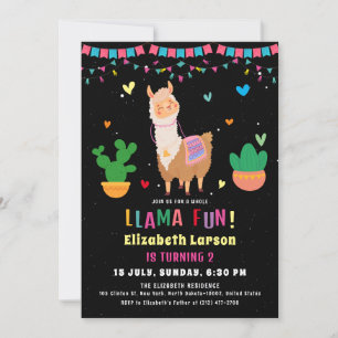 Llama Kleurrijke Kids Verjaardagsfeestje Kaart