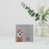 Llama Knitting Instructor QR code Business Card Vierkante Visitekaartje (Staand voorkant)