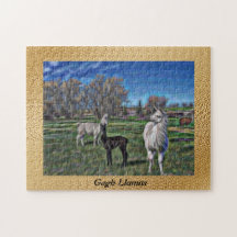 Llama llama