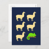 Llama Llama Llama Llama Briefkaart (Voorkant / Achterkant)