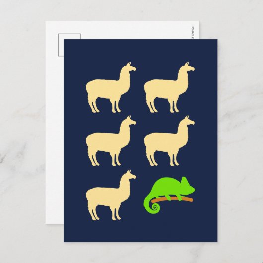 Llama Llama Llama Llama Briefkaart (Voorkant / Achterkant)