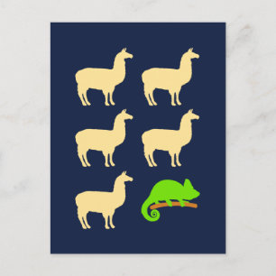 Llama Llama Llama Llama Briefkaart