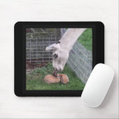 Llama Llove en Bunny Muismat (Met muis)