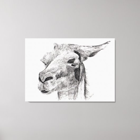 Llama Love Canvas Afdruk (Voorkant)