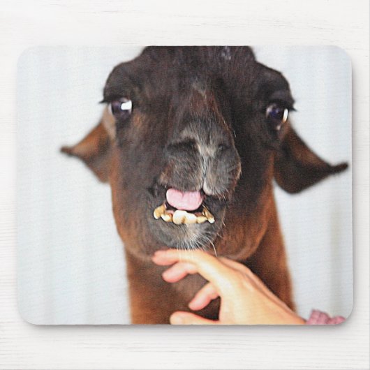 Llama Love Muismat (Voorkant)