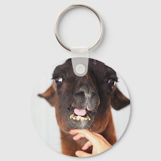 Llama Love Sleutelhanger (Voorkant)