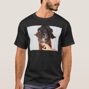Llama Love T-shirt