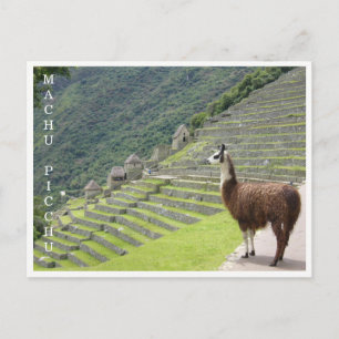 llama machu picchu briefkaart