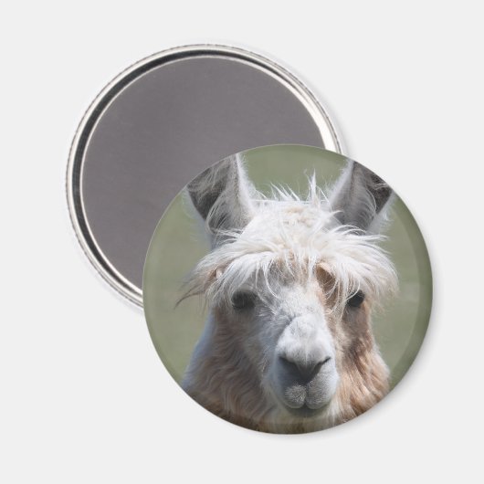 Llama Magneet (Voorkant / Achterkant)