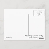 Llama mama en Cria Briefkaart (Achterkant)