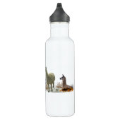 Llama Meadow Water Fles (Rechts)