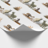 Llama Meadow Wrapping Papier (kies kleur) (Hoek)