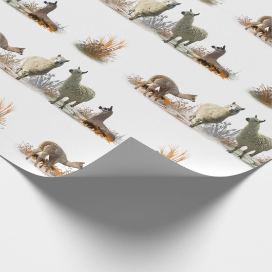 Llama Meadow Wrapping Papier (kies kleur) (Hoek)