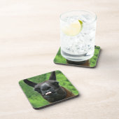 Llama met hoogte - Tongue foto uittikken Bier Onderzetter (Rechterzijde)