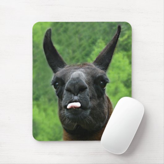 Llama met hoogte - Tongue foto uittikken Muismat (Met muis)