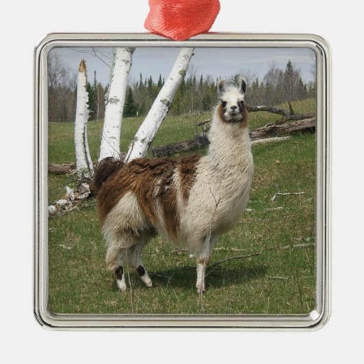 LLAMA METALEN ORNAMENT (Voorkant)