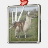 LLAMA METALEN ORNAMENT (Links)