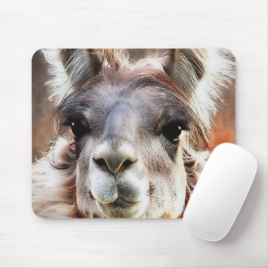 Llama Muismat (Met muis)