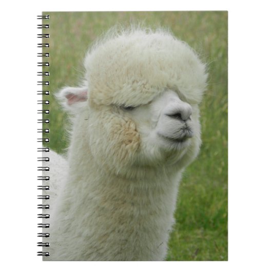 Llama Notitieboek (Voorkant)