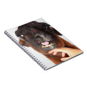 Llama Notitieboek (Rechterzijde)
