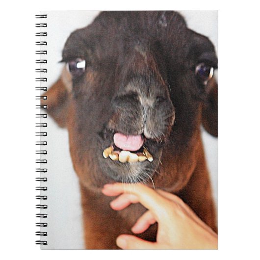Llama Notitieboek (Voorkant)