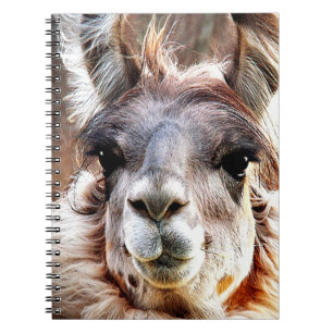Llama Notitieboek