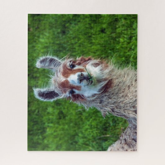 Llama op een Boerderij, Jigzaag Puzzle Legpuzzel (Verticaal)