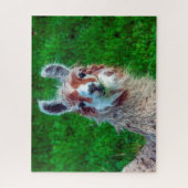 Llama op een boerderij, legpuzzel (Verticaal)