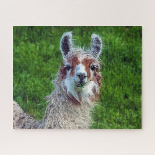 Llama op een boerderij, legpuzzel (Horizontaal)