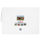 Llama op Illimani Snow Mountain Bolivia Noteer Kaa (Achterkant Horizontaal)