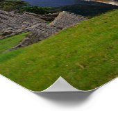 Llama op Machu Picchu, Peru Poster (Hoek)