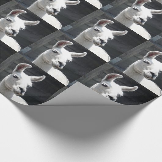 Llama-overlooppapier glimlachen cadeaupapier (Hoek)