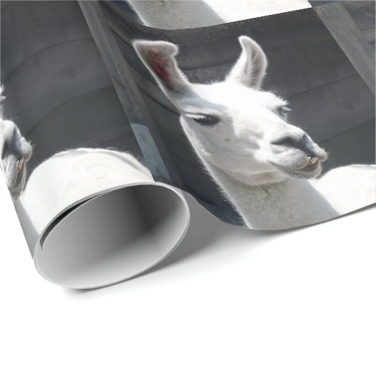 Llama-overlooppapier glimlachen cadeaupapier (Rol Hoek)